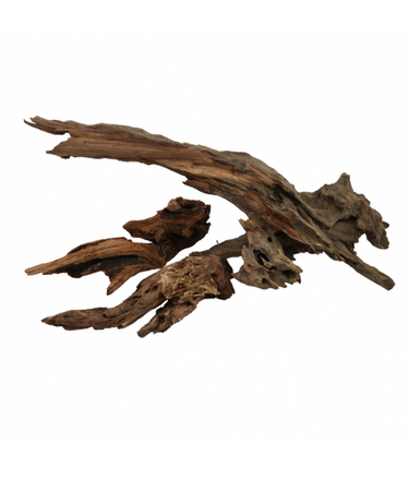 Natural Color Natural Tree Purple Teak Case Driftwood- 20-40cm (kg)